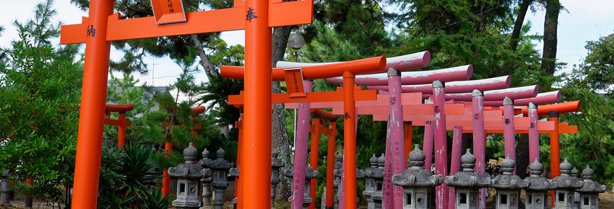 Voyage au Japon
