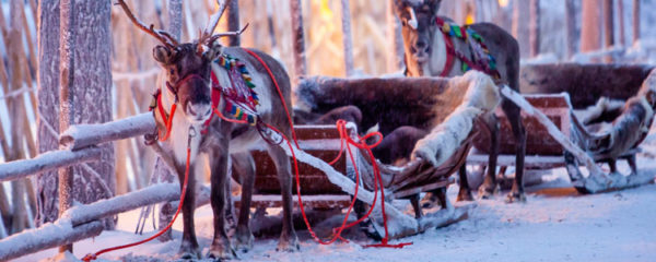 hiver en Laponie